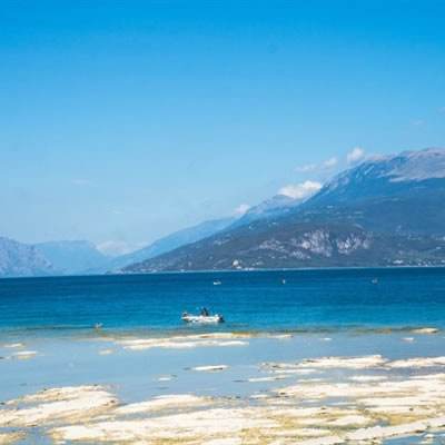 6686体育下载手机版